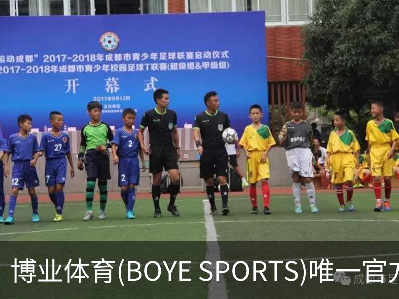 博业体育(BOYE SPORTS)唯一官方网站概况